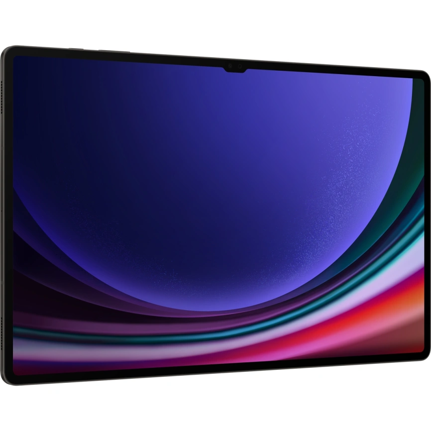 Планшет Samsung Galaxy Tab S9 Ultra LTE 12/512GB Graphite (SM-X916B) фото 4