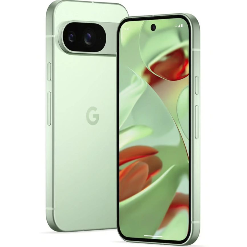 Смартфон Google Pixel 9 12/256Gb Wintergreen фото 1