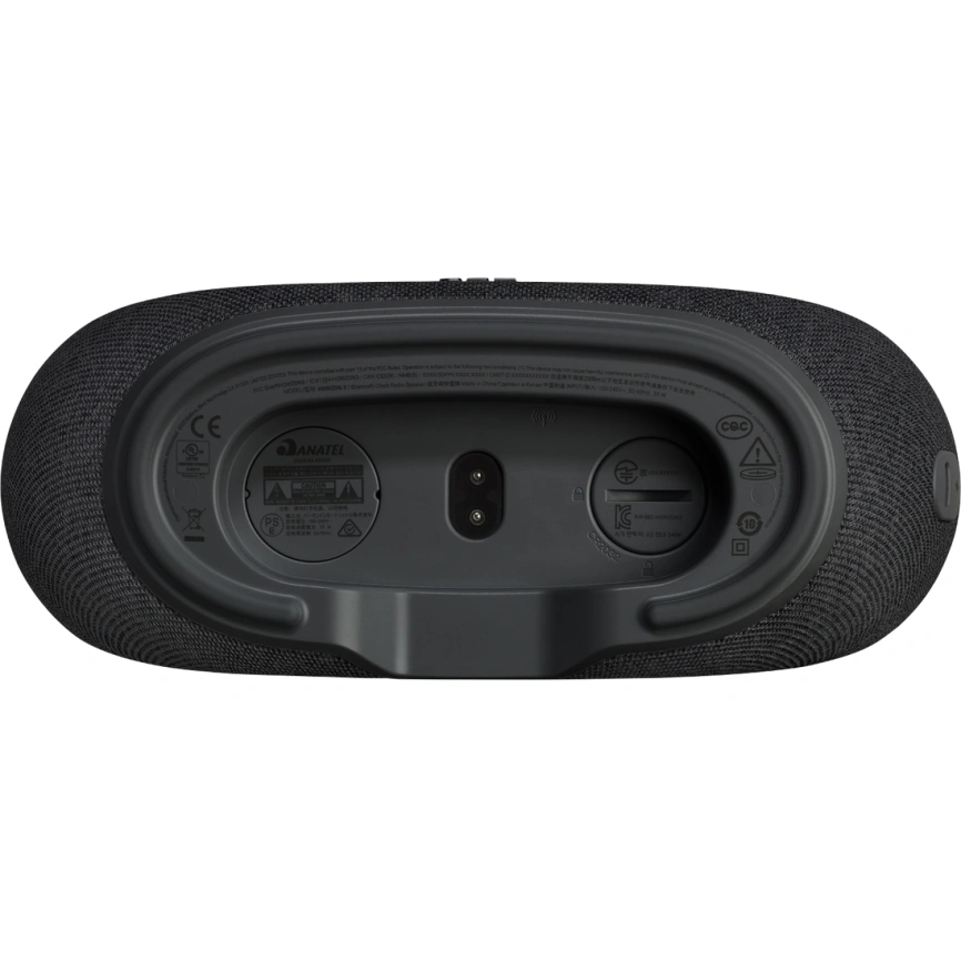 Беспроводная колонка JBL Horizon 3 Black (с FM приемником) фото 4