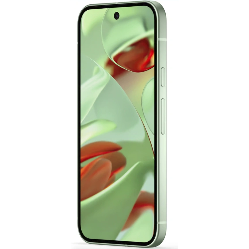 Смартфон Google Pixel 9 12/256Gb Wintergreen фото 7